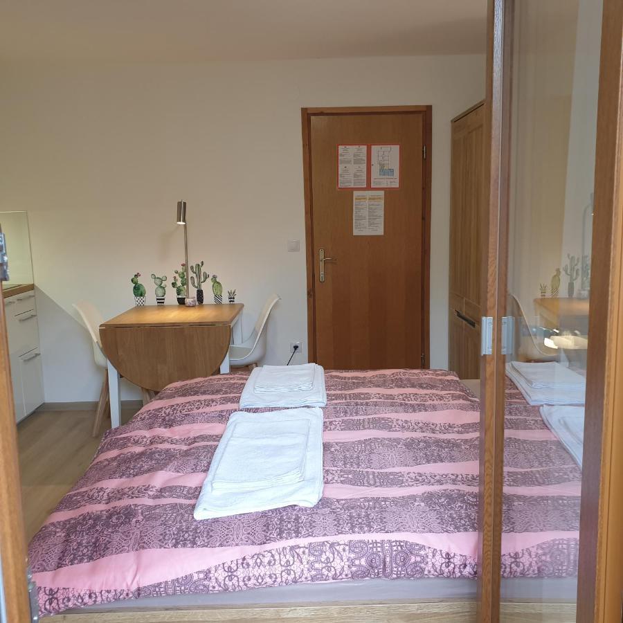 Apartmaji Pri Medvedu Studio Rudnica Бохинь Экстерьер фото